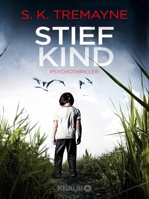 cover image of Stiefkind